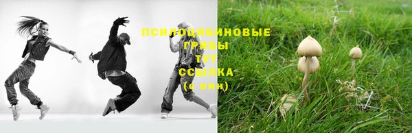 индика Наволоки