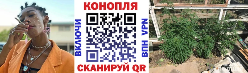 наркотики  Всеволожск  Конопля AK-47 